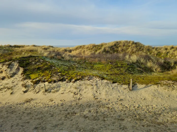 Oostnieuwkerke duinen wandeling in de koude (België)